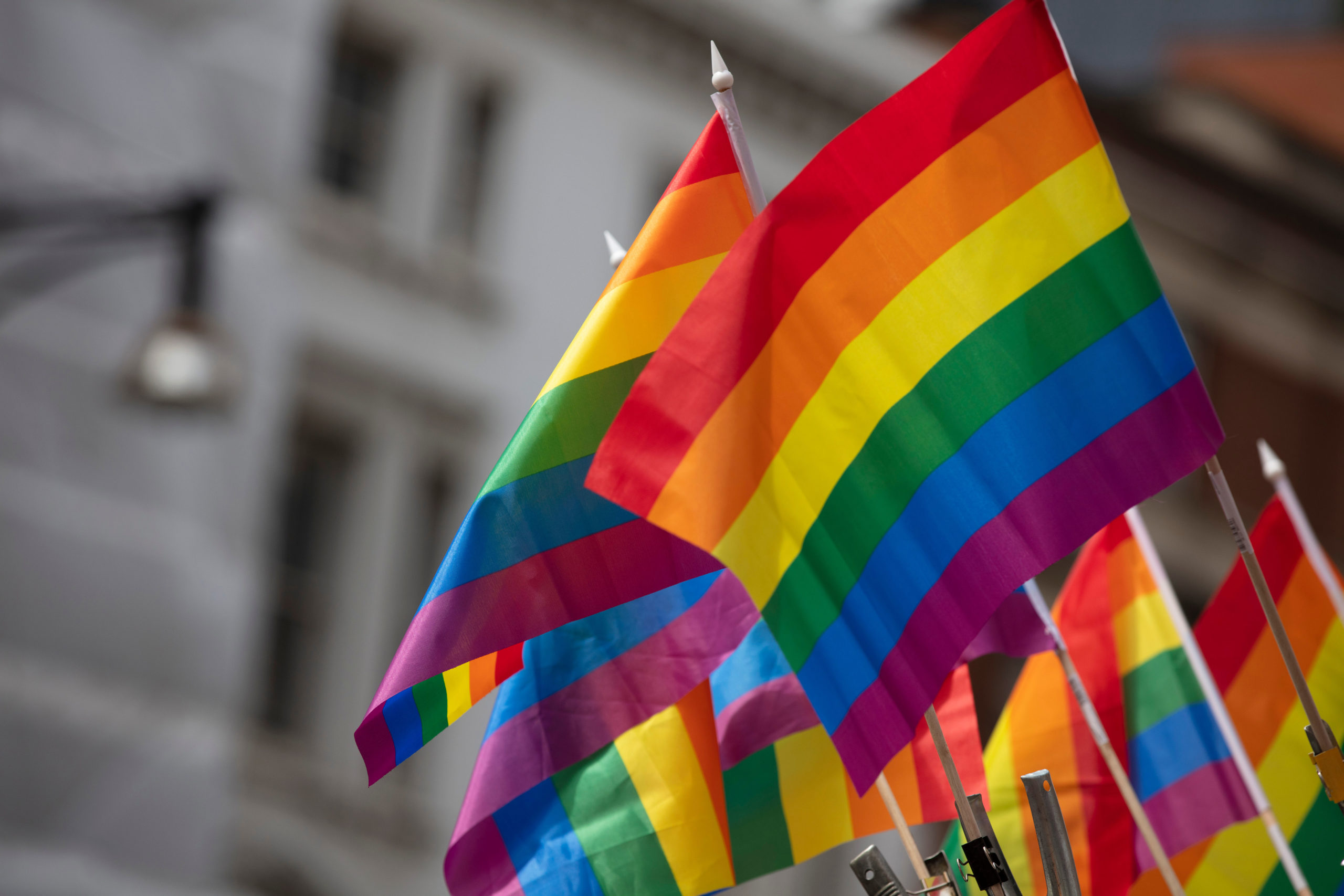 You are currently viewing Νέα έρευνα για τα δικαιώματα και τη συμμετοχή των ΛΟΑΤΚΙ+ ατόμων στην πολιτική